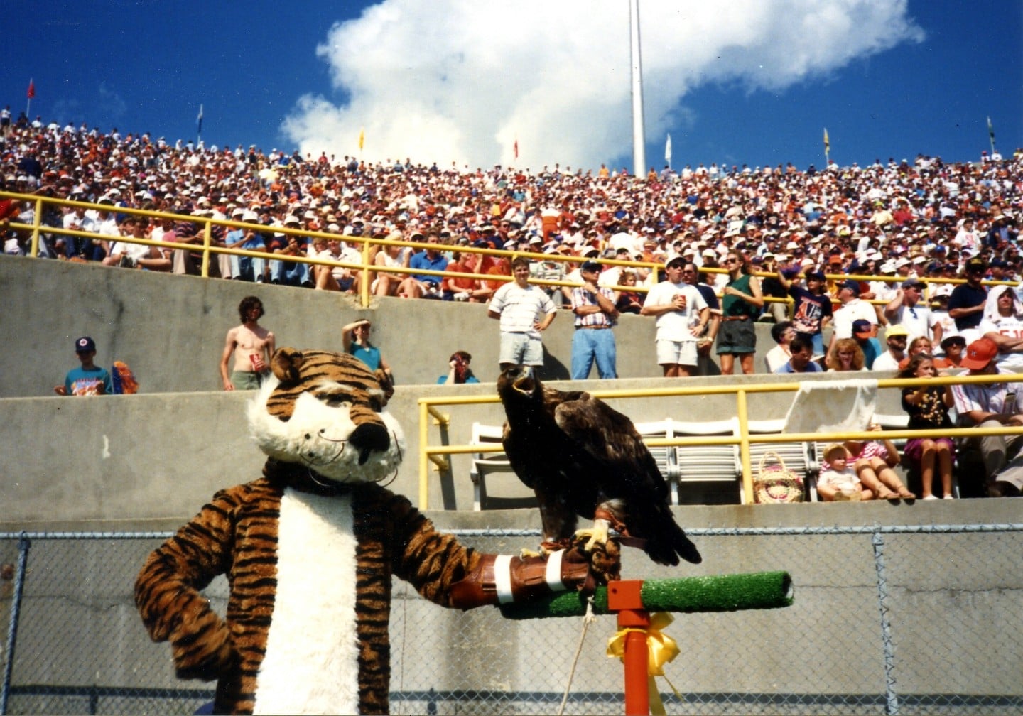 Aubie holding War Eagle VI at the Ole Miss game, 1991
